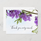 Jacaranda Purple Blumen Australien auf dem Baum Postkarte (Vorne/Hinten)