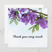 Jacaranda Purple Blumen blühen auf dem Baum (Vorne/Hinten)