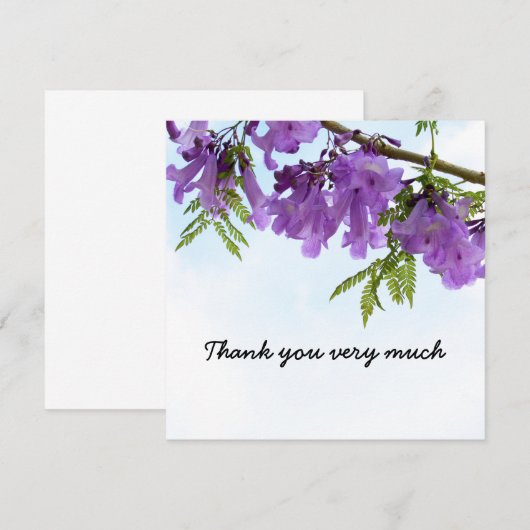 Jacaranda Purple Blumen blühen auf dem Baum (Vorne/Hinten)