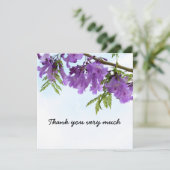 Jacaranda Purple Blumen blühen auf dem Baum (Stehend Vorderseite)