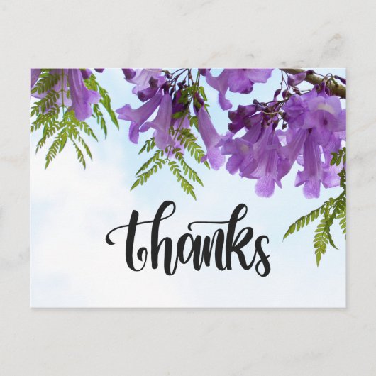 Jacaranda Purple Blumen blühen auf dem Baum Postkarte (Vorderseite)