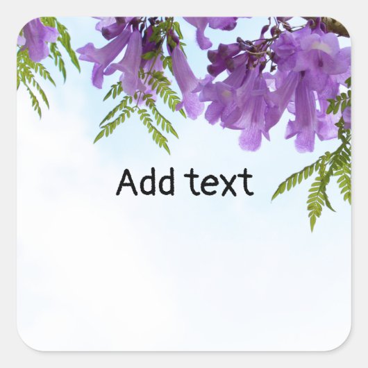 Jacaranda Purple Blumen blühen auf dem Baum Quadratischer Aufkleber (Vorderseite)