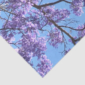 Jacaranda Seidenpapier (Ausschnitt)