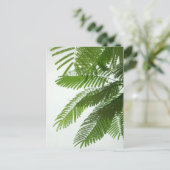 Jacaranda Tree Blätter Postkarte (Stehend Vorderseite)