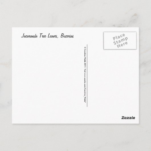 Jacaranda Tree Blätter Postkarte (Rückseite)