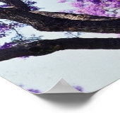 Jacaranda tree in spring bloom flowers poster (Ecke)