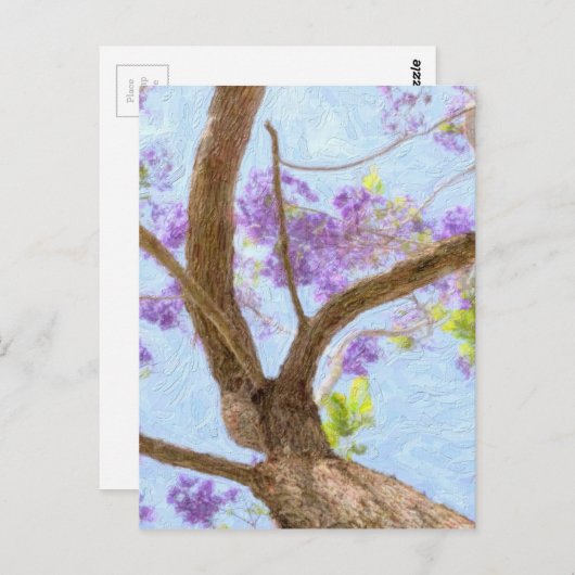 Jacaranda Tree Postkarte (Vorne/Hinten)