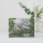 Jacaranda Tree Postkarte (Stehend Vorderseite)