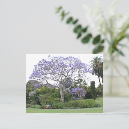 Jacaranda Tree Postkarte (Stehend Vorderseite)