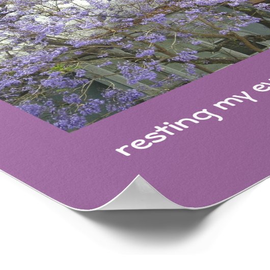 Jacaranda Tree Print Poster (Ecke)