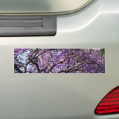 Jacarandabaum in den Frühlingsblüten-Blumen Autoaufkleber (Auf Auto)