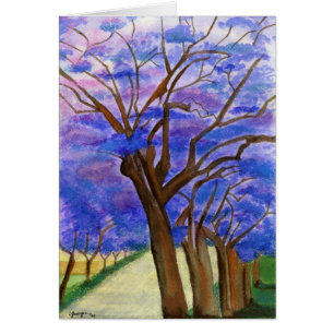Jacarandas