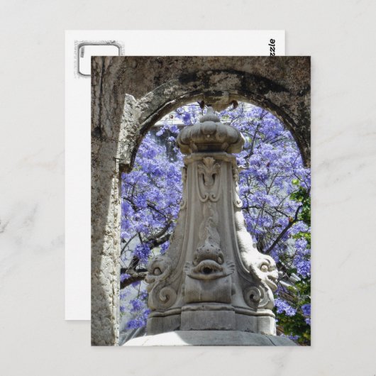 Jacarandi Postkarte (Vorne/Hinten)