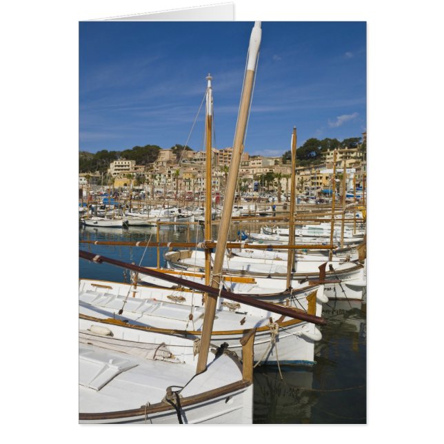 Jachthafen, Port de Soller, Westküste, Mallorca (Vorne)