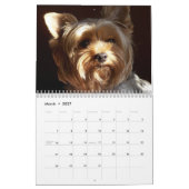 "Jack" das Yorkie - Kalender 2014 (Mär 2027)