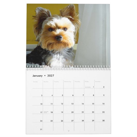 "Jack" das Yorkie - Kalender 2014 (Jan 2027)