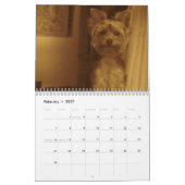 "Jack" das Yorkie - Kalender 2014 (Feb 2027)