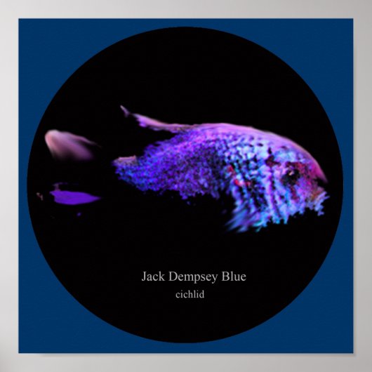Jack dempsey blau poster (Vorne)