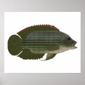 Jack Dempsey Poster (Vorne)