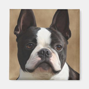 Jack der Boston-Terrier Magnet