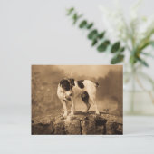 Jack der Vintage Jack Russell Terrier Postkarte (Stehend Vorderseite)
