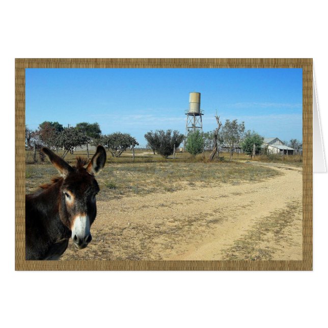 Jack des Burros auf der Ranch (Vorderseite (Horizontal))