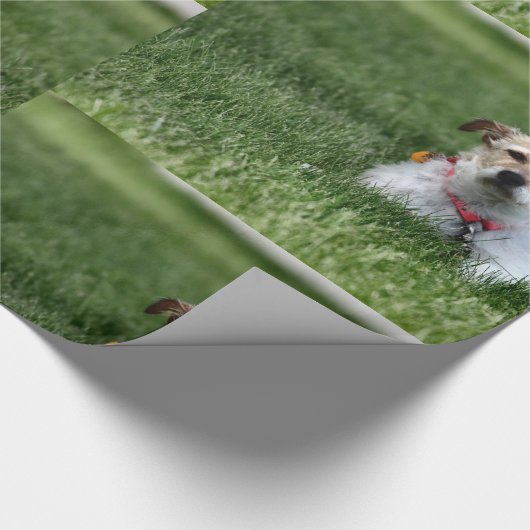 Jack Geschenkpapier (Ecke)