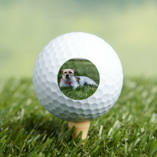 Jack Golfball (Insitu T-Shirt)