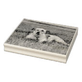 Jack Gummistempel (Stempel)