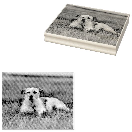 Jack Gummistempel (Stempel)