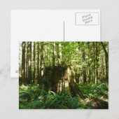Jack im Grünen Postkarte (Vorne/Hinten)