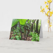 Jack-in-d-Kanzel Gruß-Karte, leeres Innere Karte (Gelbe Blume)