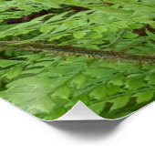 Jack-in-the-Pulpit-Flora Poster (Ecke)