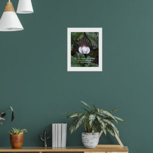 Jack-in-the-Pulpit-Pflanze Aristoteles Natur Zitat Poster