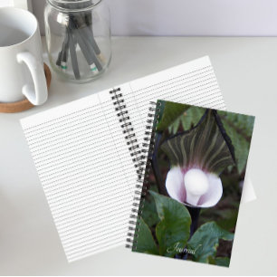 Jack-in-the-Pulpit-Pflanze Botanisch Notizblock