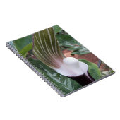 Jack-in-the-Pulpit-Pflanze Notizblock (Rechte Seite)