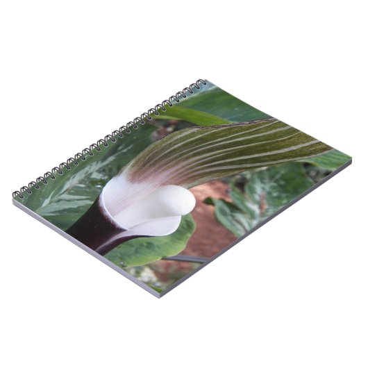 Jack-in-the-Pulpit-Pflanze Notizblock (Linke Seite)