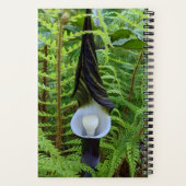 Jack-in-the-Pulpit-Pflanze Notizblock (Rückseite)