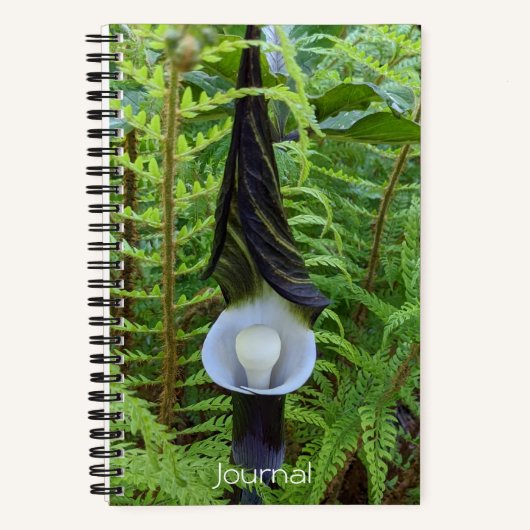 Jack-in-the-Pulpit-Pflanze Notizblock (Vorderseite)