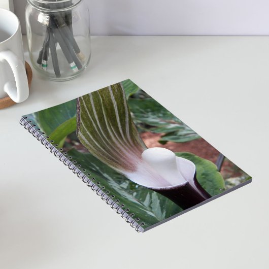 Jack-in-the-Pulpit-Pflanze Notizblock