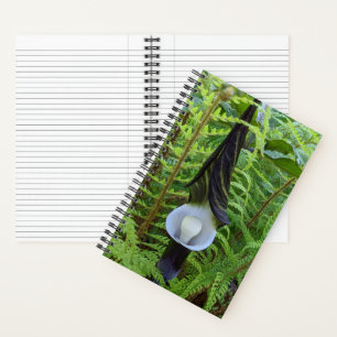 Jack-in-the-Pulpit-Waldpflanze Notizblock