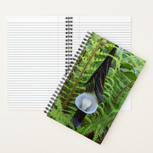 Jack-in-the-Pulpit-Waldpflanze Notizblock (Innen)