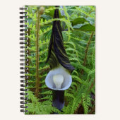 Jack-in-the-Pulpit-Waldpflanze Notizblock (Vorderseite)