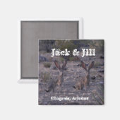 Jack & Jill ~Jackkanbits~ Magnet (Vorderseite/Rückseite)