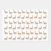 Jack Kaninchen Wrapping Paper Sheets Geschenkpapier Set (Vorderseite 3)