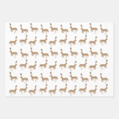 Jack Kaninchen Wrapping Paper Sheets Geschenkpapier Set (Vorderseite)