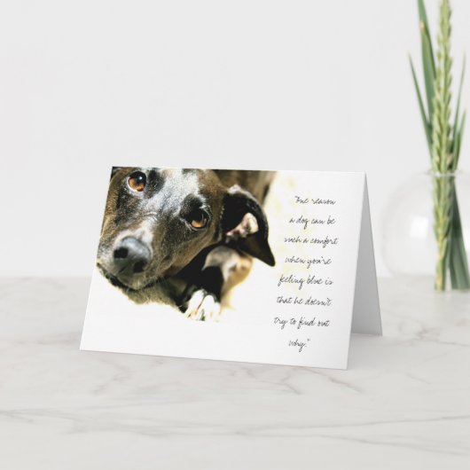 Jack-Karte Karte (Vorderseite)