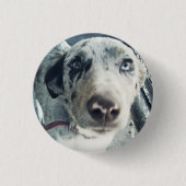 Jack-Knopf Button (Vorderseite)