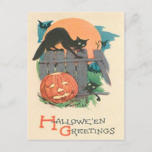 Jack O' Lantern Black Cat Bat Vollmond Postkarte