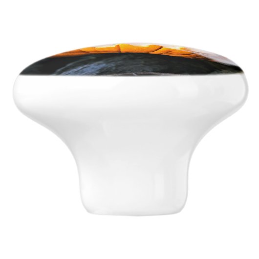 Jack-o-Lantern des kopflosen Pferdes Kopf an Flamm Keramikknauf (Seitenansicht)